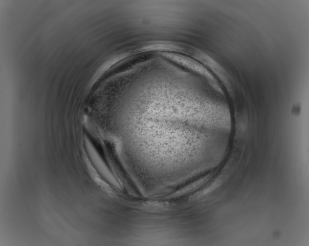 X0000092301049200709281322