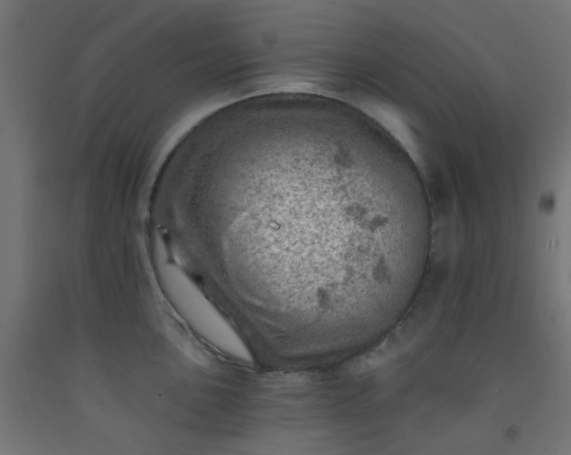 X0000092301051200709281322