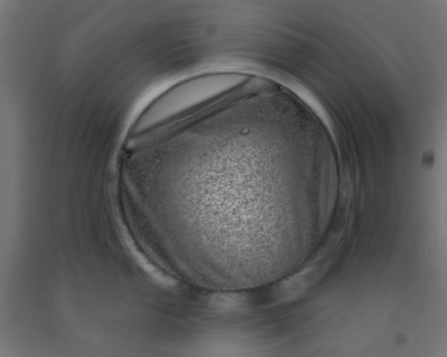 X0000092301053200709281322