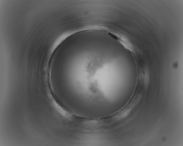 X0000092301054200709281322