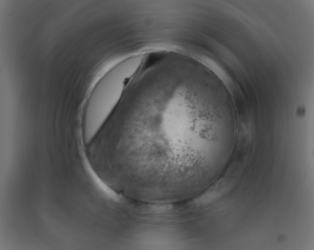 X0000092301055200709281322