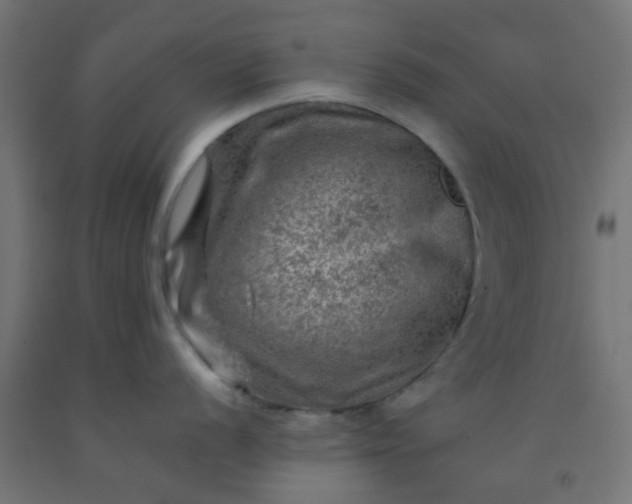 X0000092301056200709281322