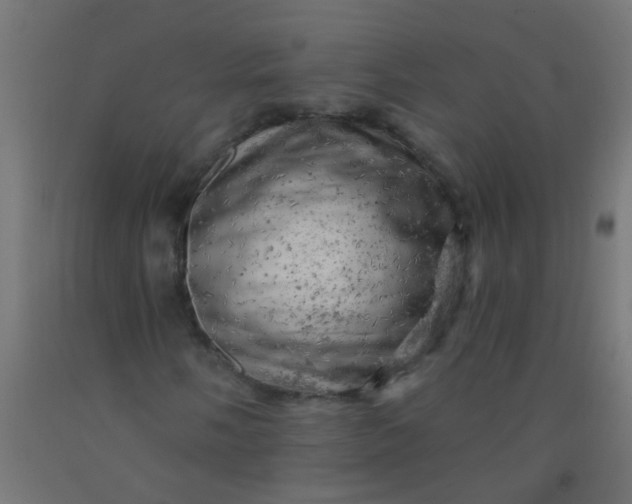 X0000092301058200709281322