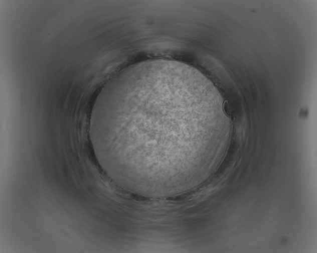 X0000092301060200709281322