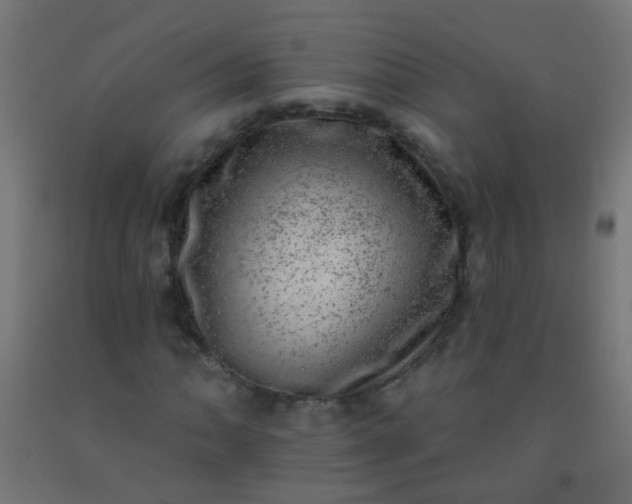 X0000092301062200709281322