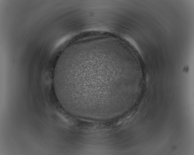 X0000092301064200709281321