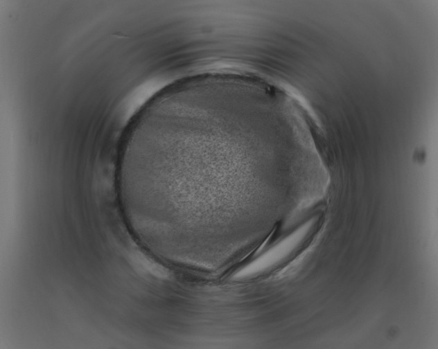 X0000092301066200709281321