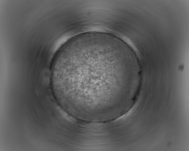 X0000092301067200709281321