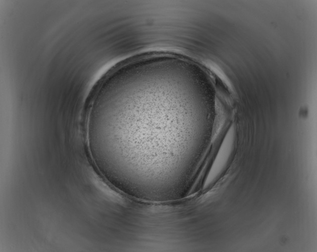 X0000092301068200709281321