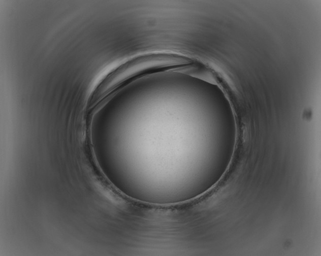 X0000092301069200709281321