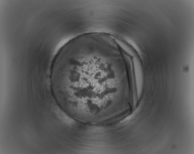 X0000092301071200709281321