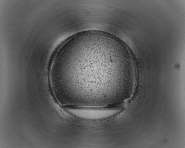 X0000092301072200709281321