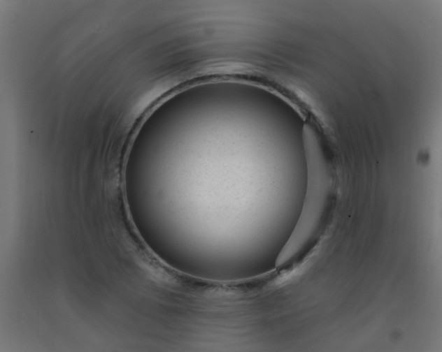 X0000092301073200709281321