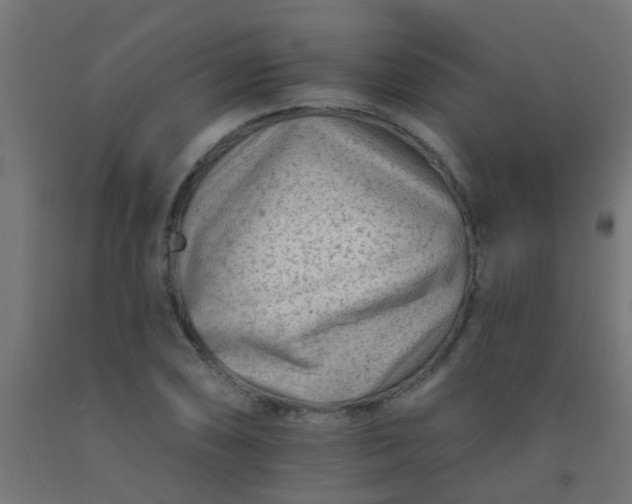 X0000092301074200709281321