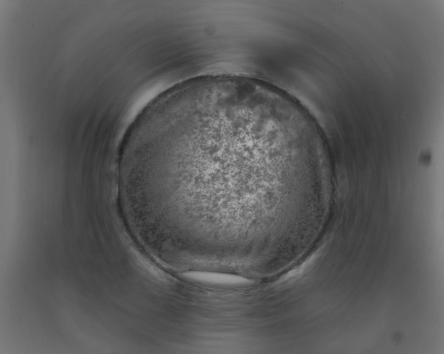 X0000092301075200709281321