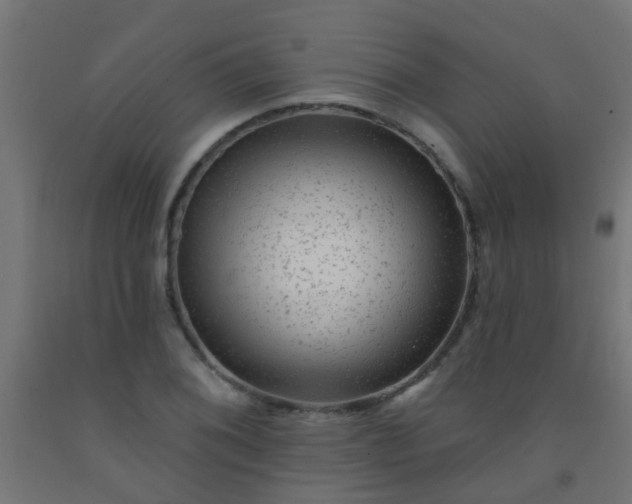 X0000092301076200709281321