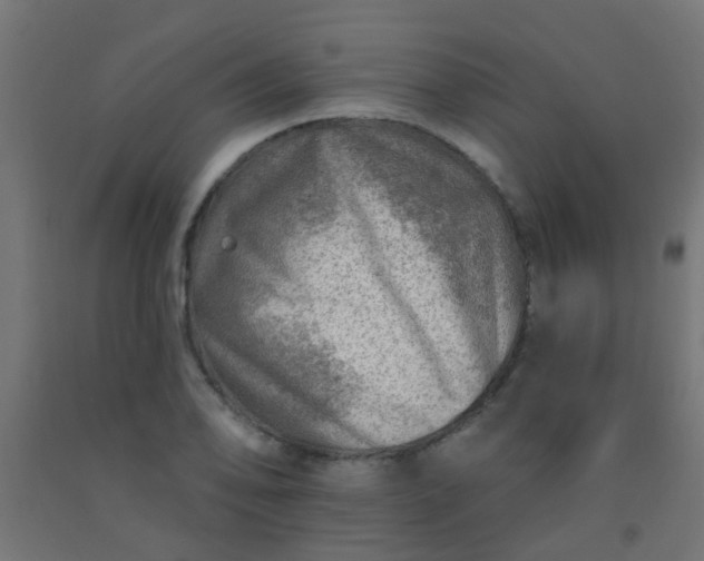 X0000092301078200709281321