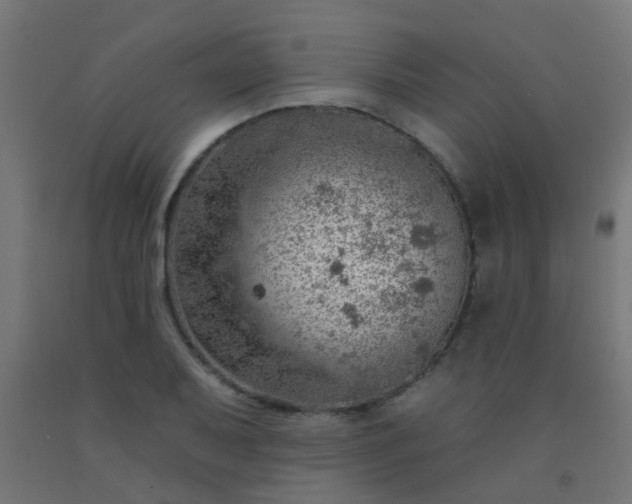 X0000092301079200709281321