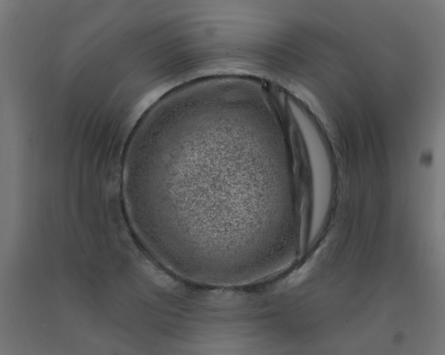 X0000092301081200709281321