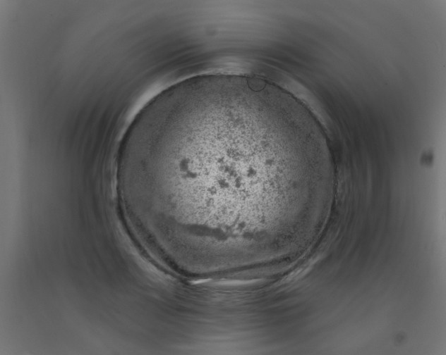 X0000092301083200709281321