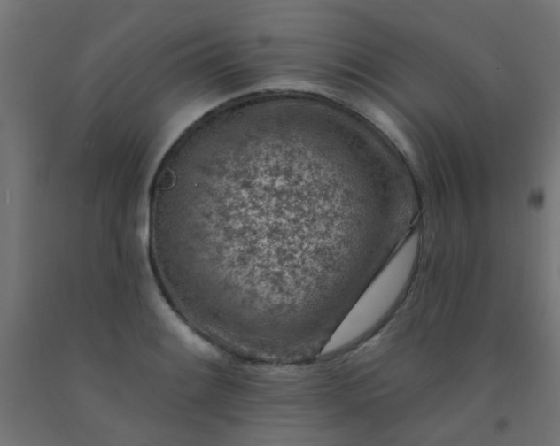 X0000092301084200709281321