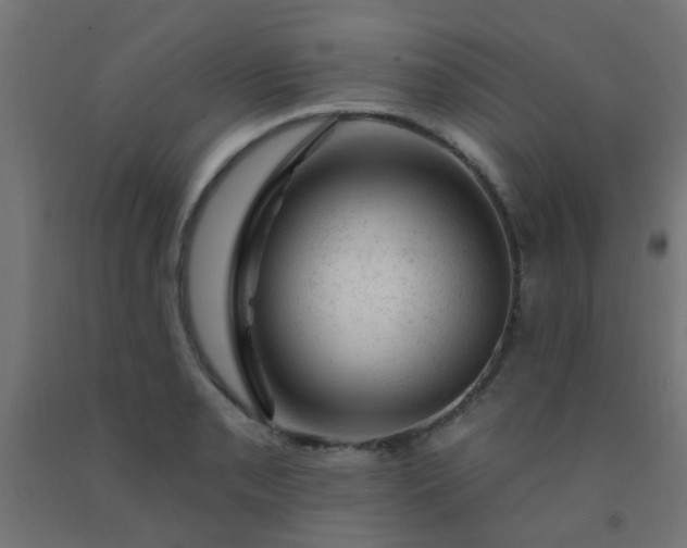 X0000092301085200709281321