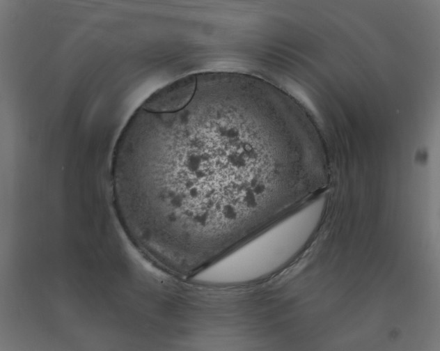 X0000092301087200709281321