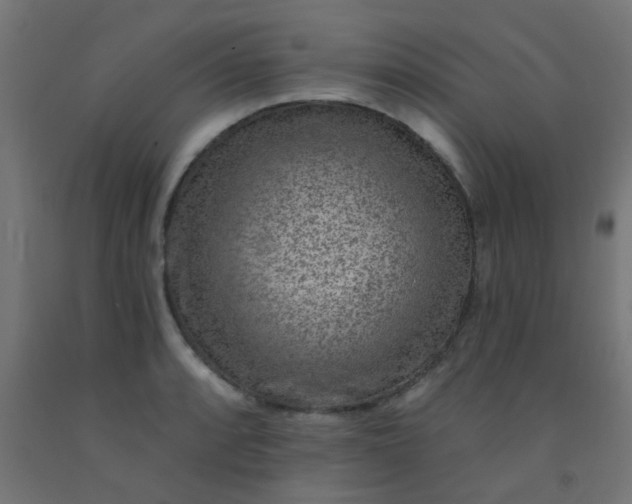 X0000092301088200709281321