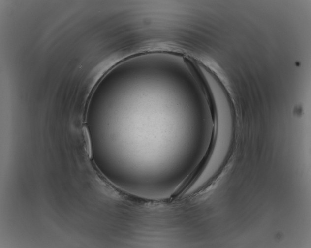 X0000092301089200709281321