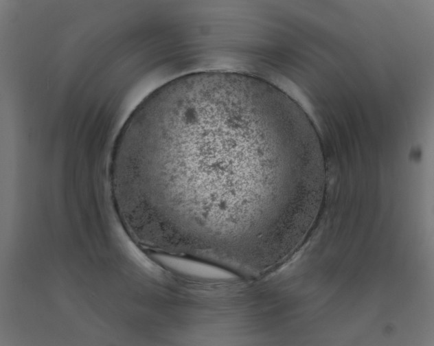 X0000092301091200709281321