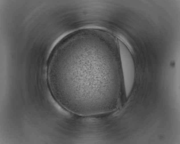 X0000092301092200709281321