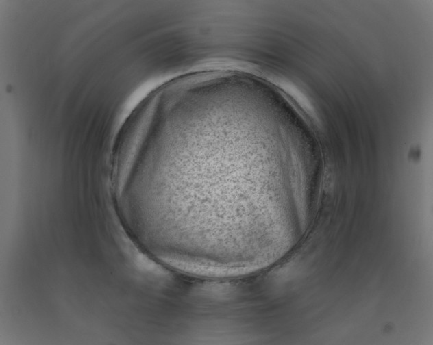 X0000092301094200709281321