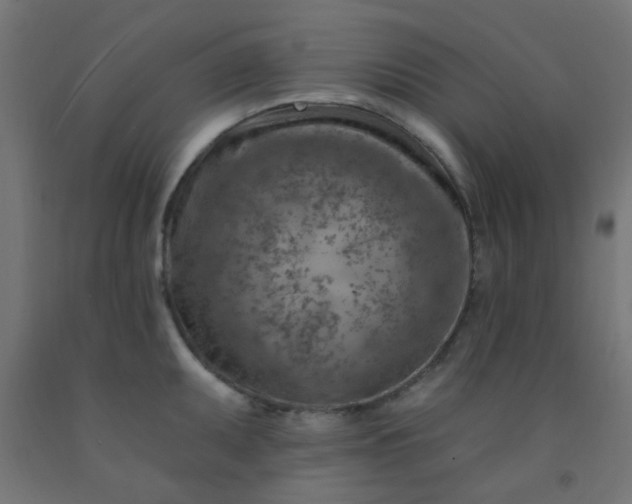 X0000092301095200709281321