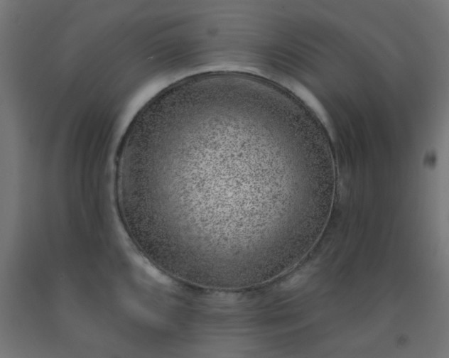 X0000092301096200709281321