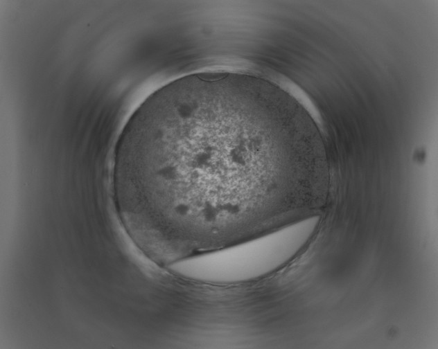 X0000092301099200709281321