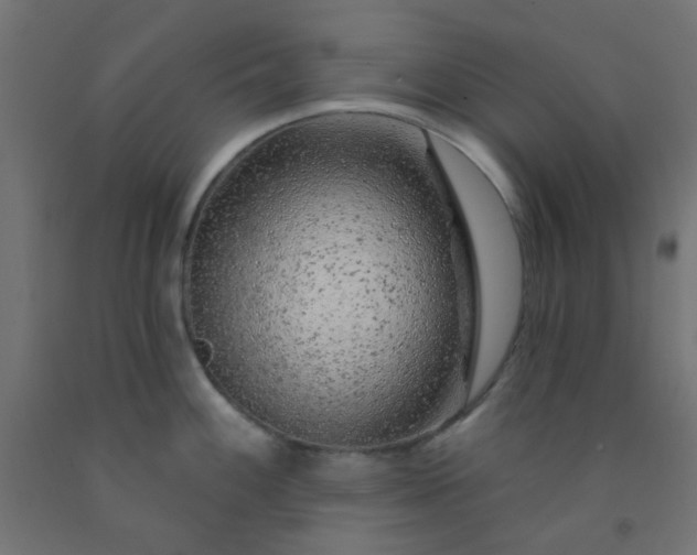 X0000092301100200709281321