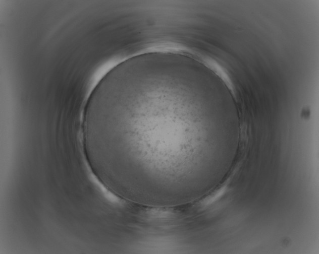 X0000092301103200709281321