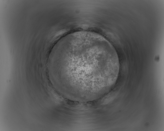 X0000092301105200709281320