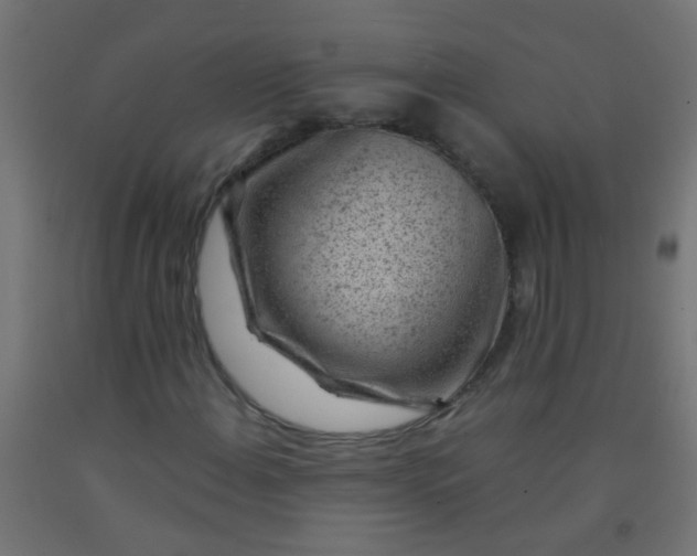 X0000092301108200709281320