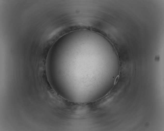 X0000092301110200709281320