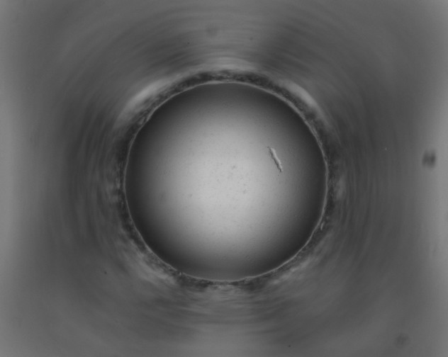 X0000092301112200709281320