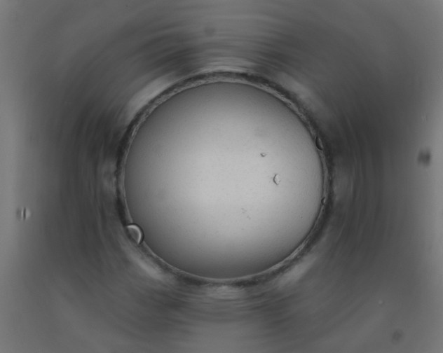 X0000092301113200709281320