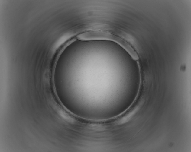 X0000092301114200709281320