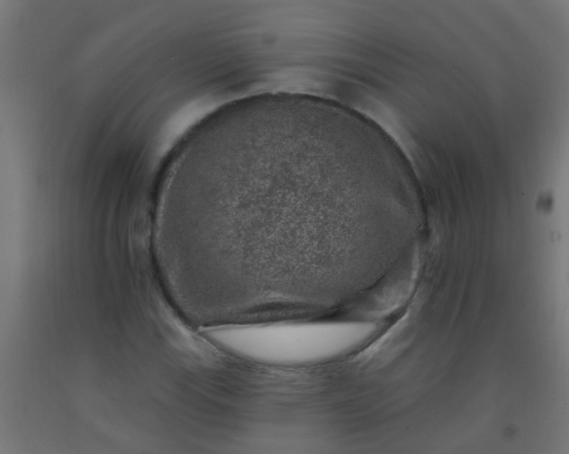 X0000092301115200709281321