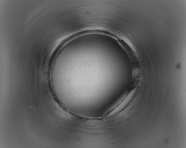 X0000092301116200709281321