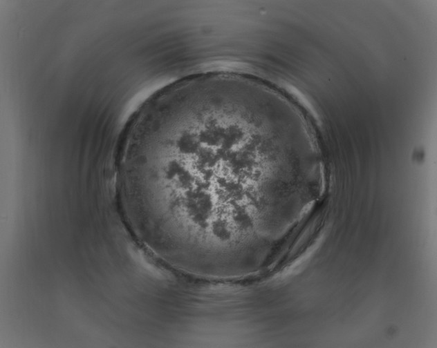 X0000092301117200709281321