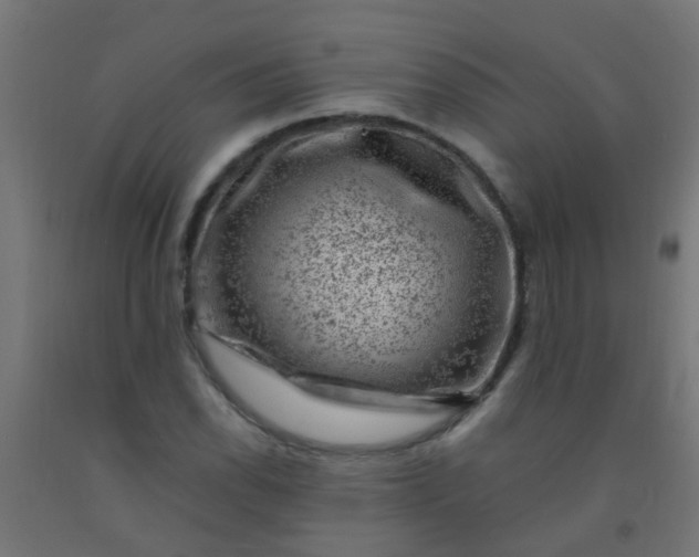 X0000092301118200709281321