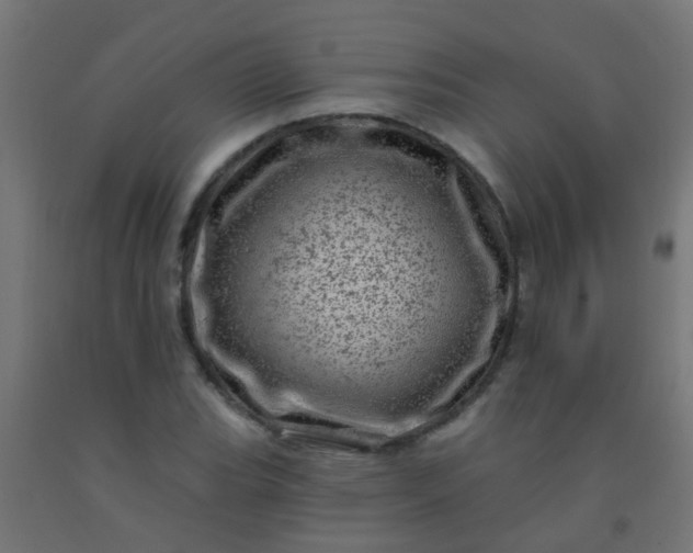 X0000092301119200709281321