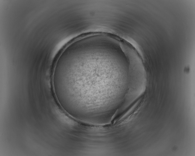 X0000092301120200709281321