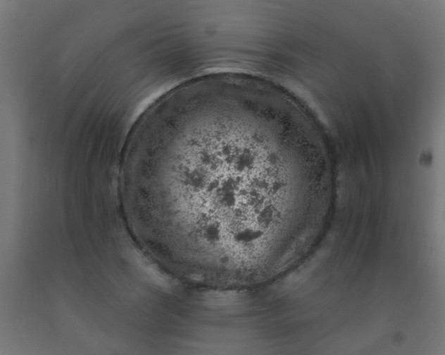 X0000092301121200709281321